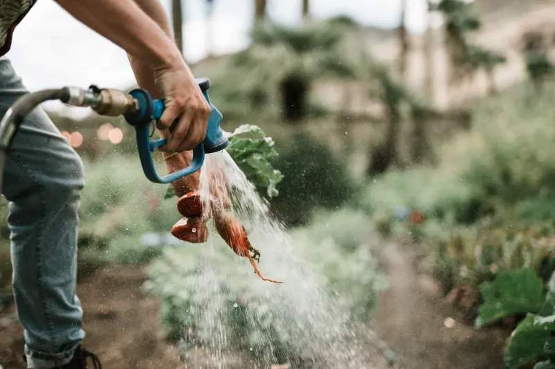 Spring Garden Prep: Simple Steps for a Healthy Start