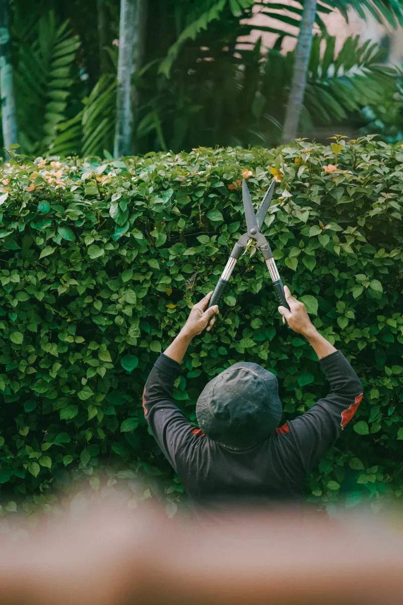 Lawn and garden maintenance