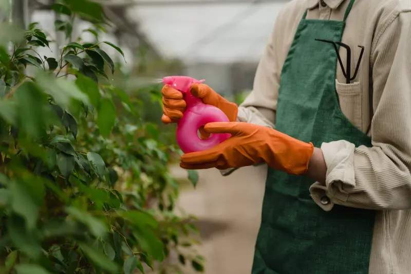 Weed control and bed cleanup